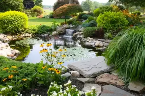 Pictures Of Backyards