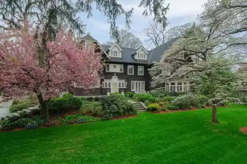 Type Of Landscaping Trees