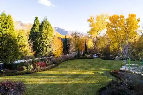 Backyard Design Photos