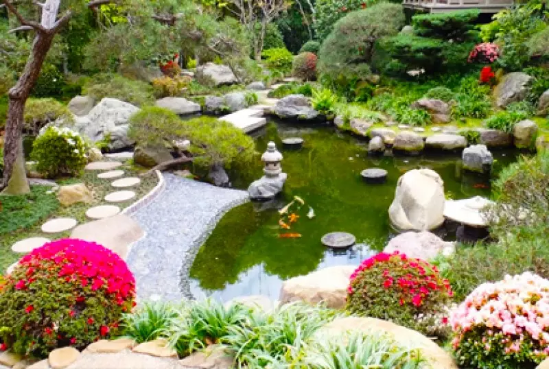 Water Garden Types