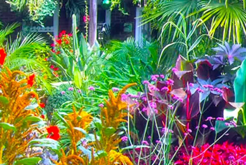 Contemporary Garden Design