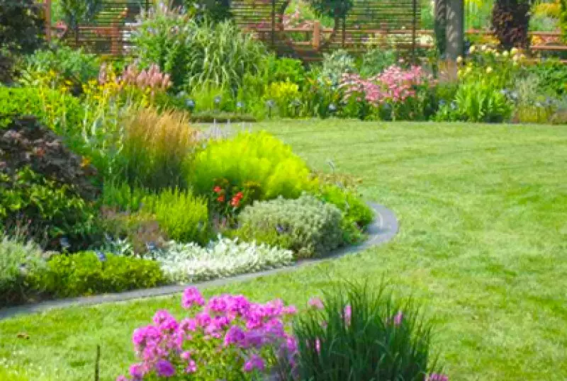 Flower Bed Designs