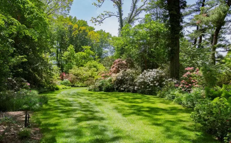 Backyard Garden Ideas