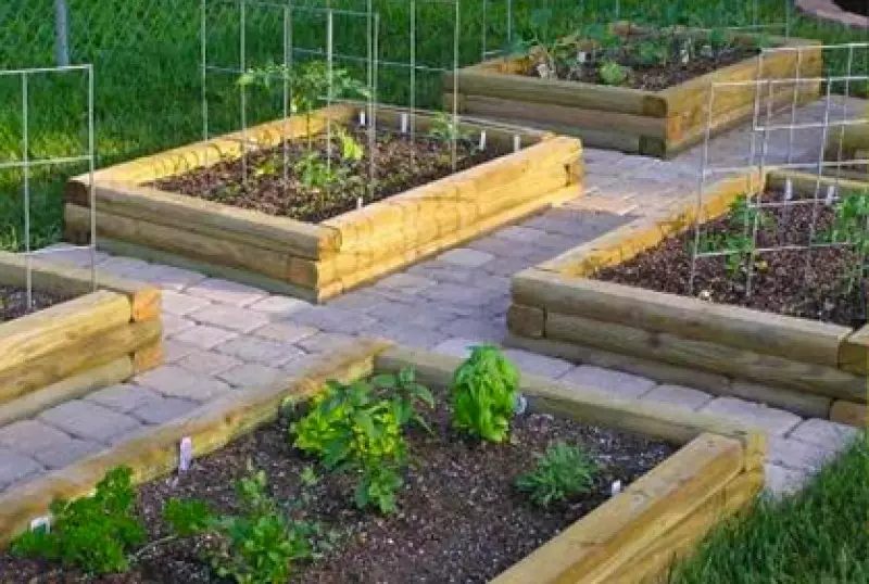 Vegetable Garden Designs