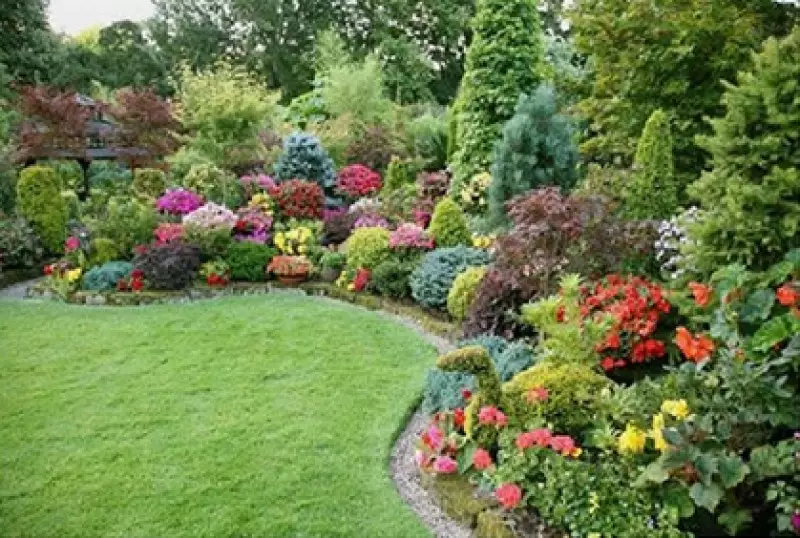 Pictures of Backyard Ideas