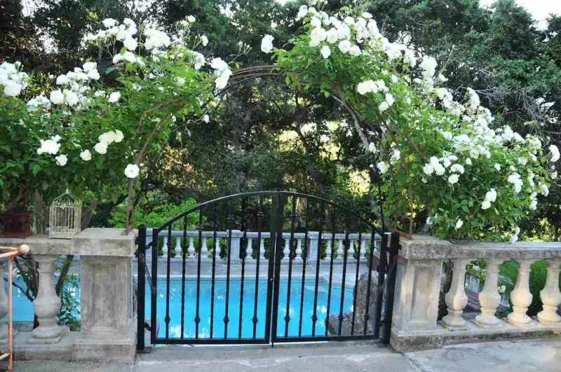 Landscaping Designs