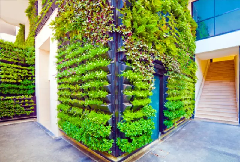 Vertical Garden Ideas