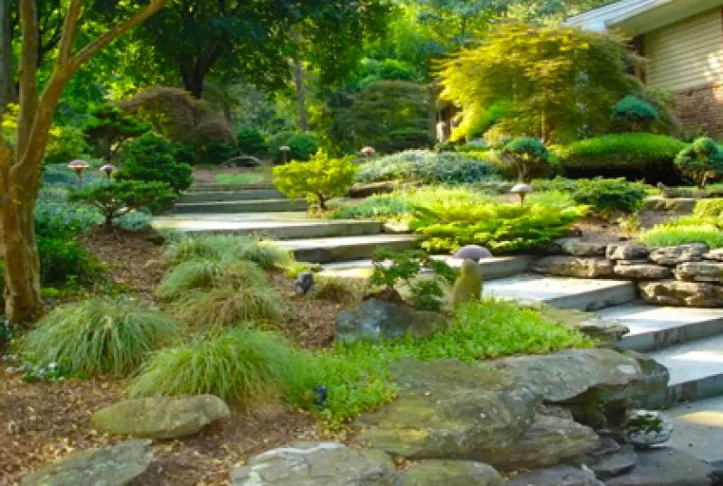 Backyard Design Ideas