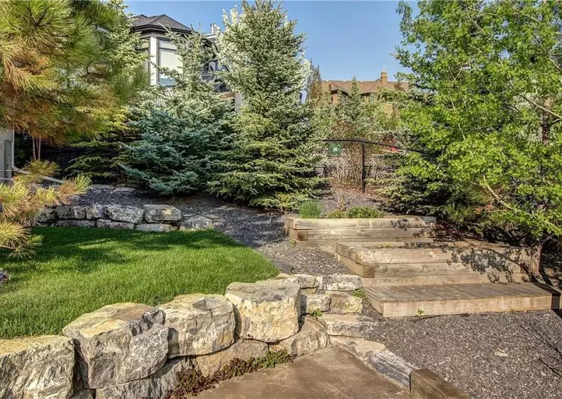 Best Trees for Privacy