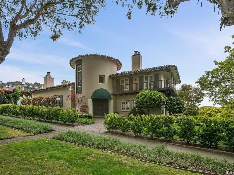 Fast Growing Evergreen Trees