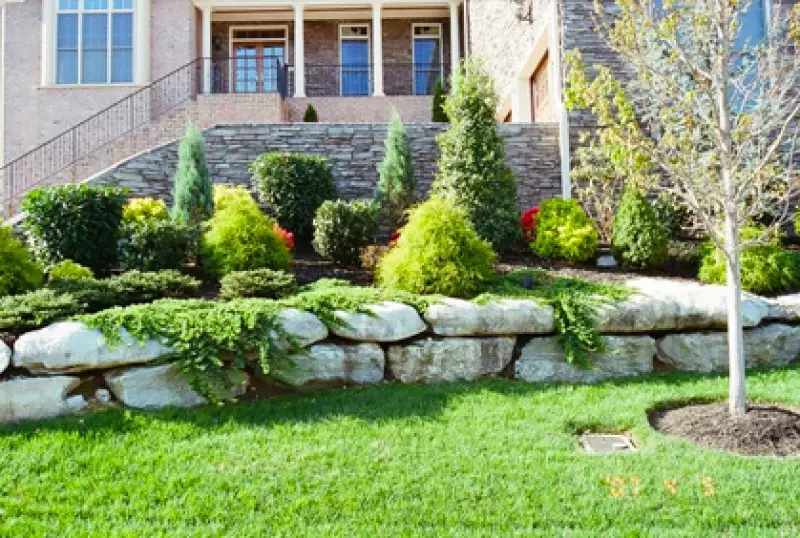 Front Yard Makeovers