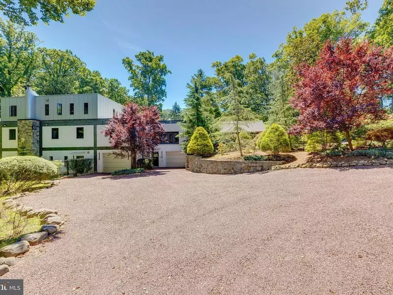 Decorative Trees for Landscaping