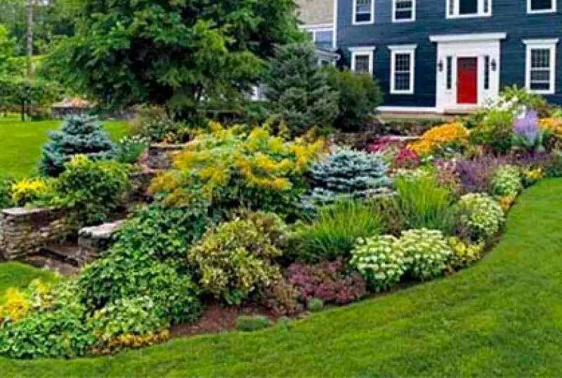 Front Yard Landscaping