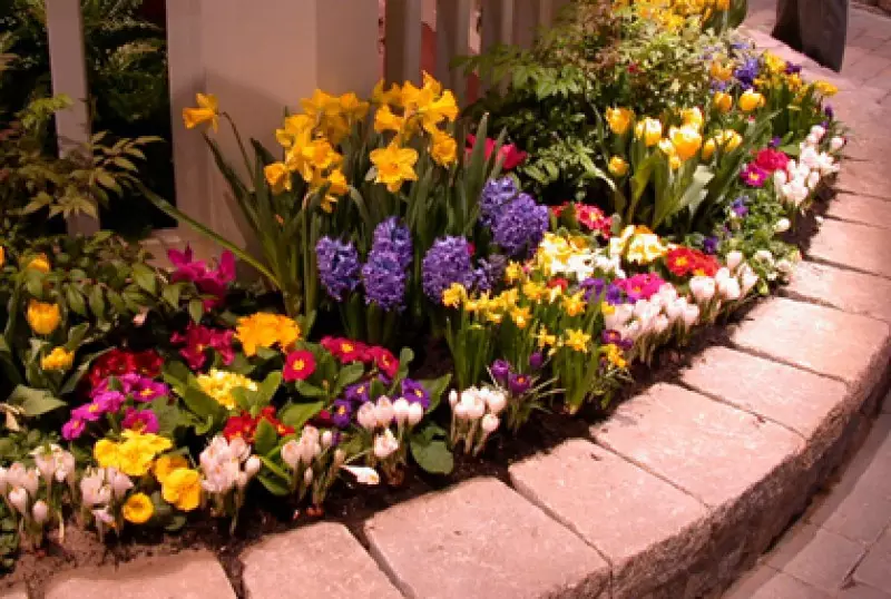Garden Design Ideas
