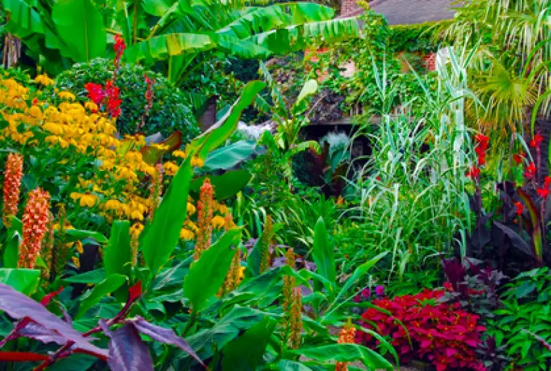 Landscaping with Shrubs