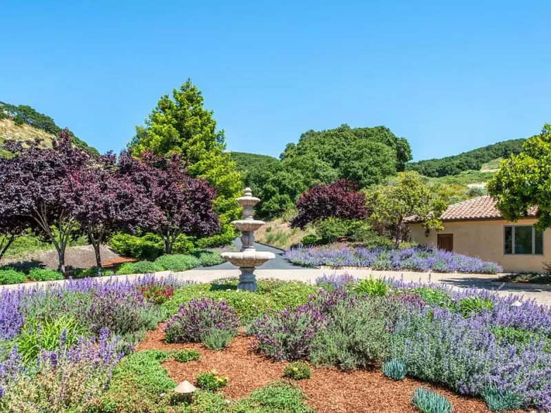 Landscaping Ideas