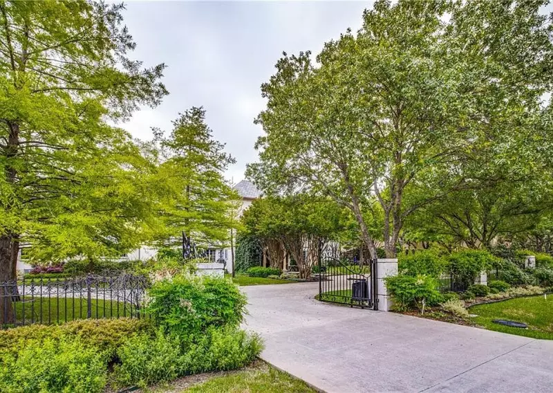 Types of Landscaping Trees