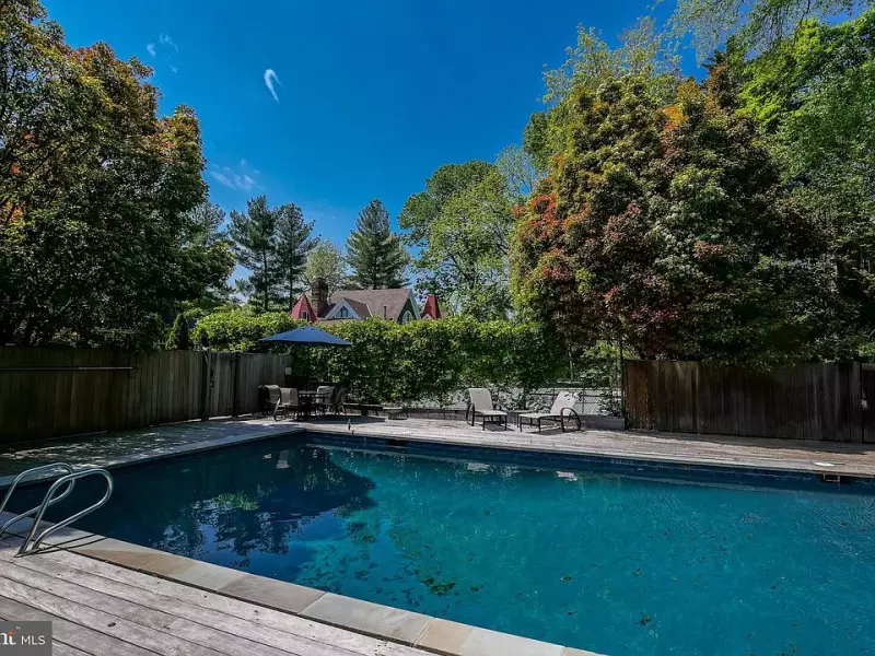 Ornamental Trees Zone 5