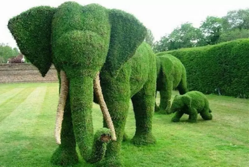 Landscape Design Software