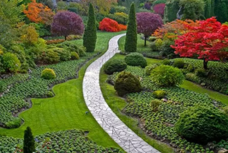 Popular Walkways
