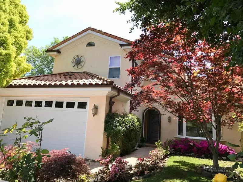 Popular Ornamental Trees