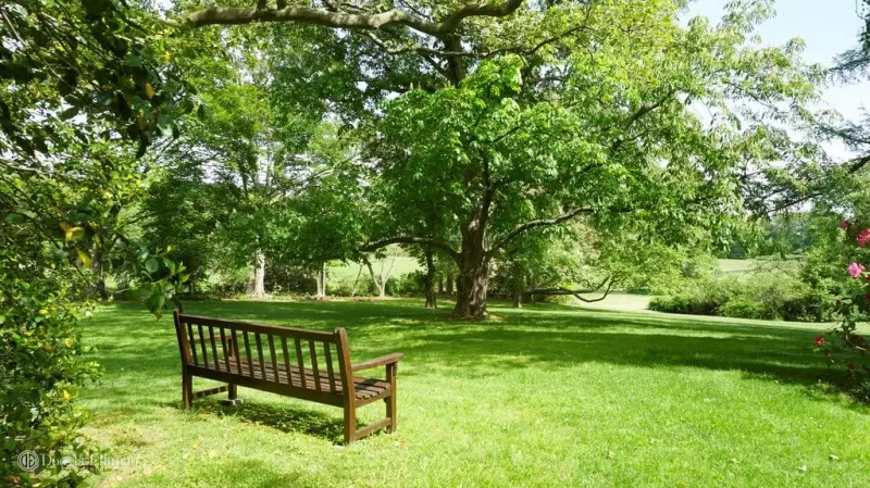 Landscaping with Trees