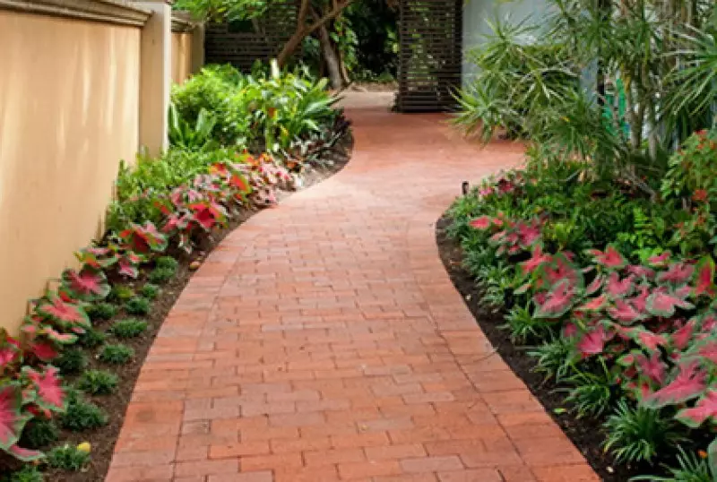 Walkway Design Ideas