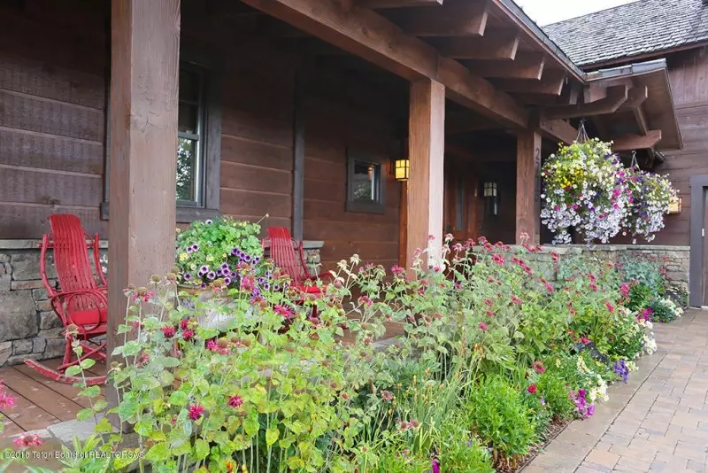 Flowering Plants