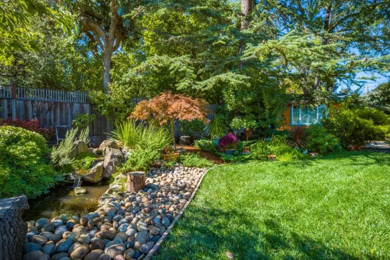 Shrubs for Landscaping