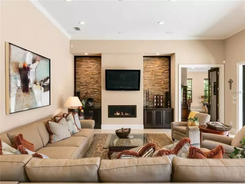 Living Room Ideas