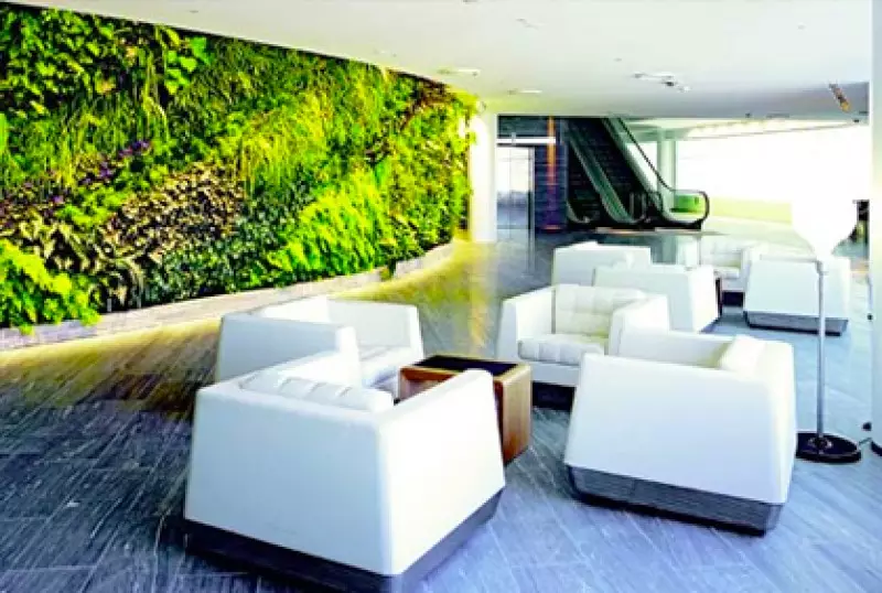 Vertical Garden Walls