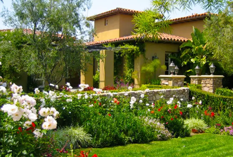 Trees Shrubs and Bushes