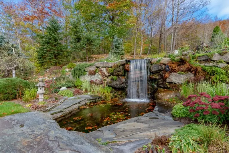 Flower Garden Ideas
