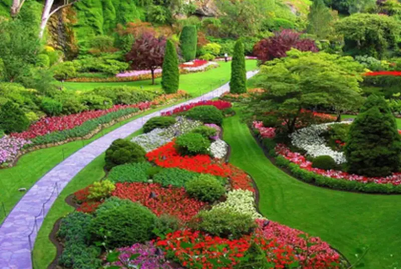Backyard Garden Ideas
