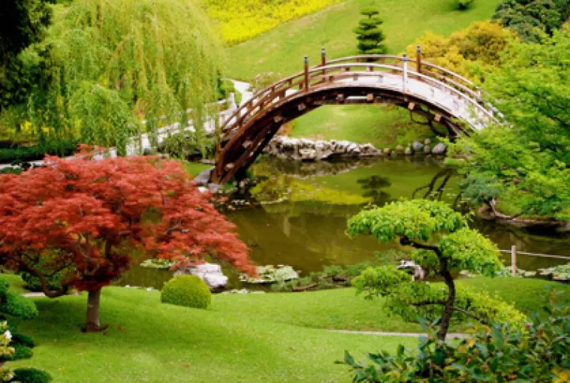Pergola and Bridges