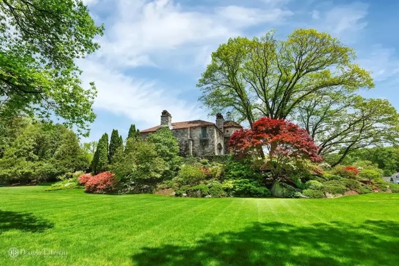 Trees for Landscaping