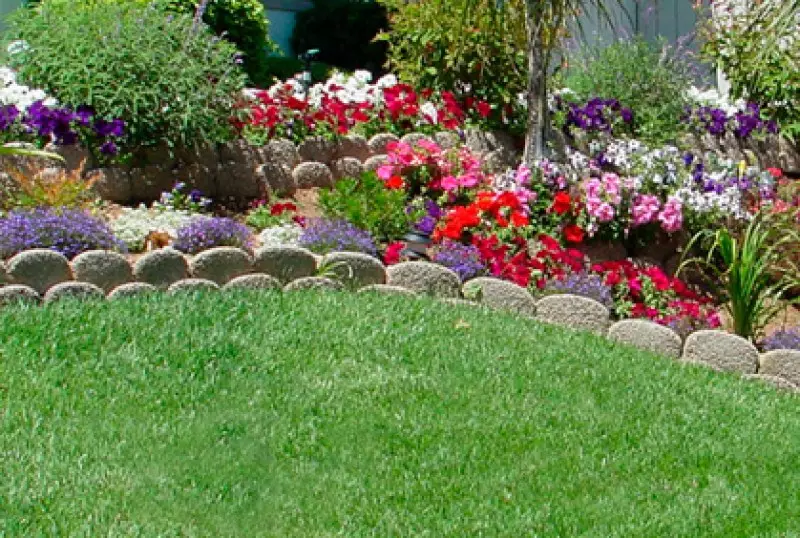Landscaping Ideas