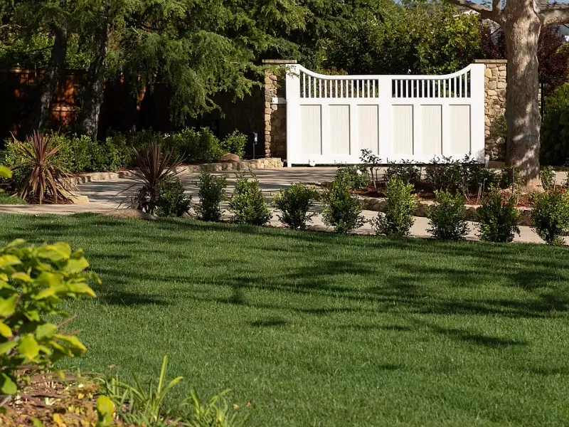 Landscape Design Ideas