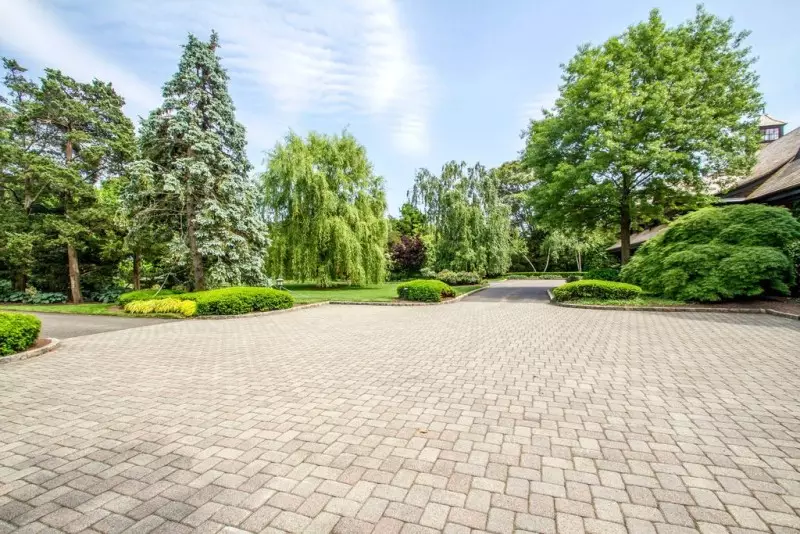 Evergreen Trees