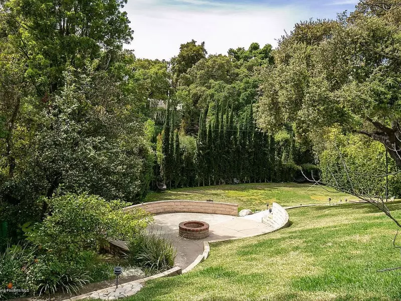 Tall Privacy Trees
