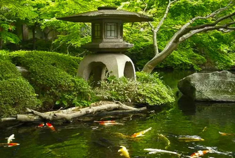 Small Backyard Gardens