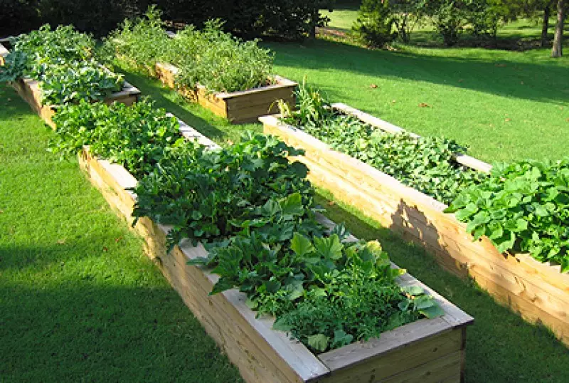 Home Garden Ideas