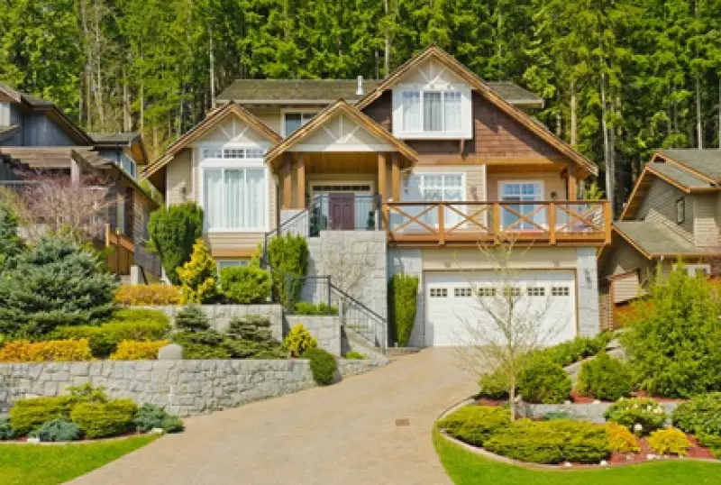 Evergreen Tree Types