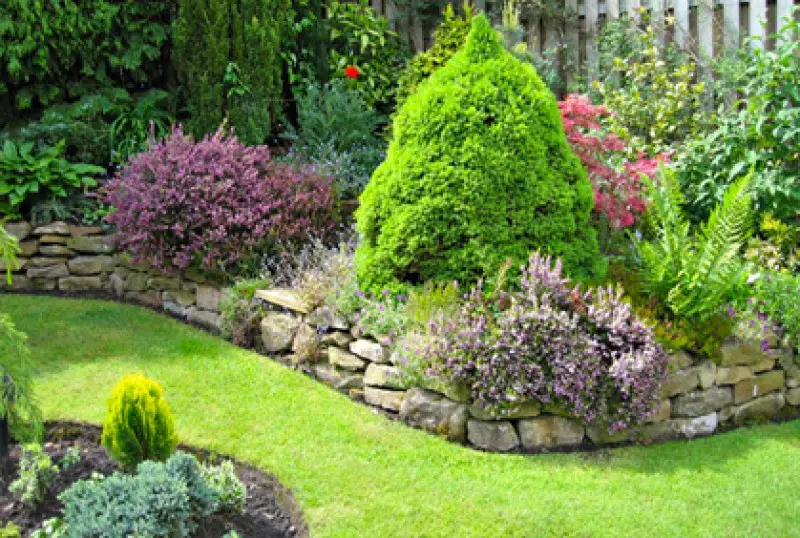Small Backyard Gardens