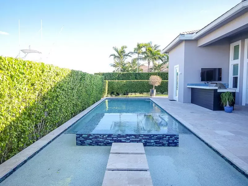 Best Shrubs for Privacy