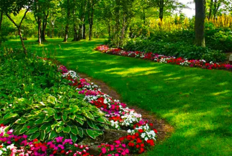 Home Garden Flowers