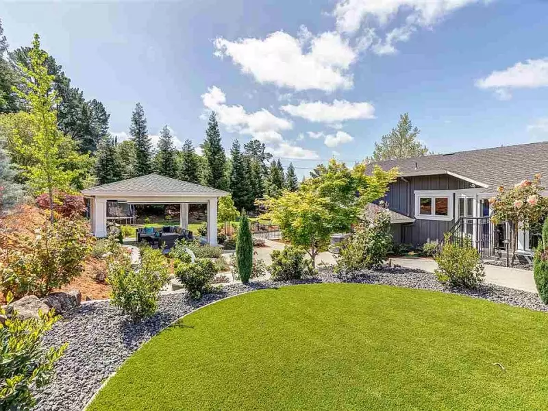 Fast Growing Evergreen Trees