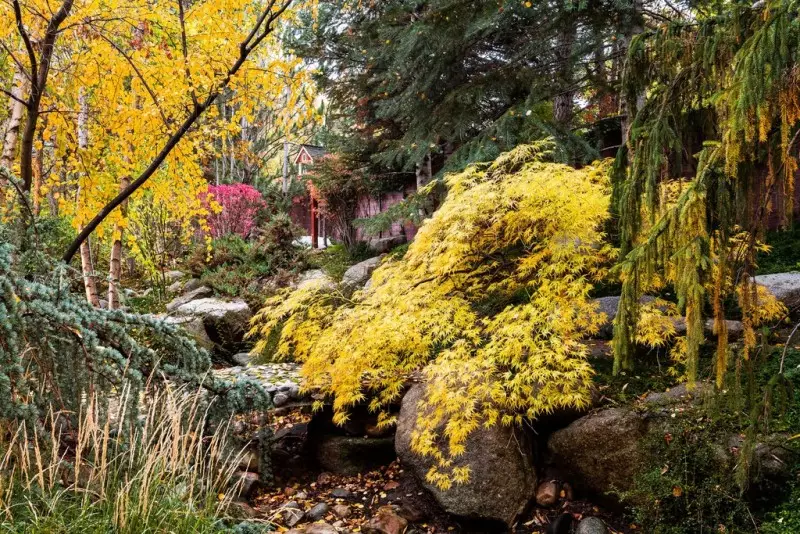 Landscape Design Ideas