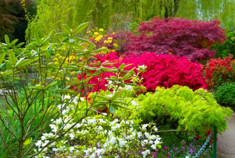 Garden Ornaments